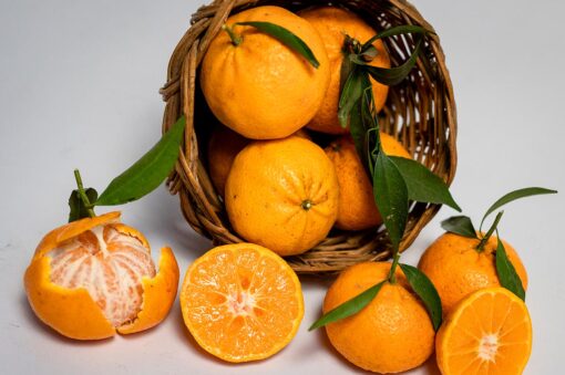 Clementine dell'Etna