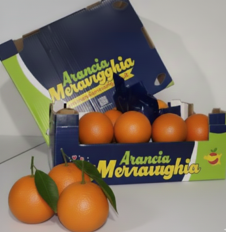 Arance Tarocco cassetta