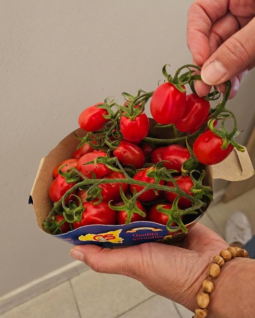 Pomodoro Datterino Rosso